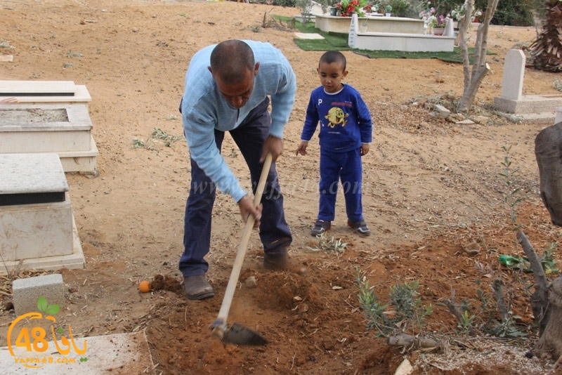 tasoooi3i1412 (66).JPG